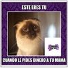 maribeloswaldo